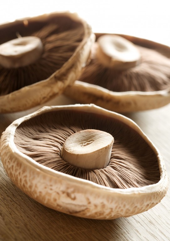 Portabella Mushrooms